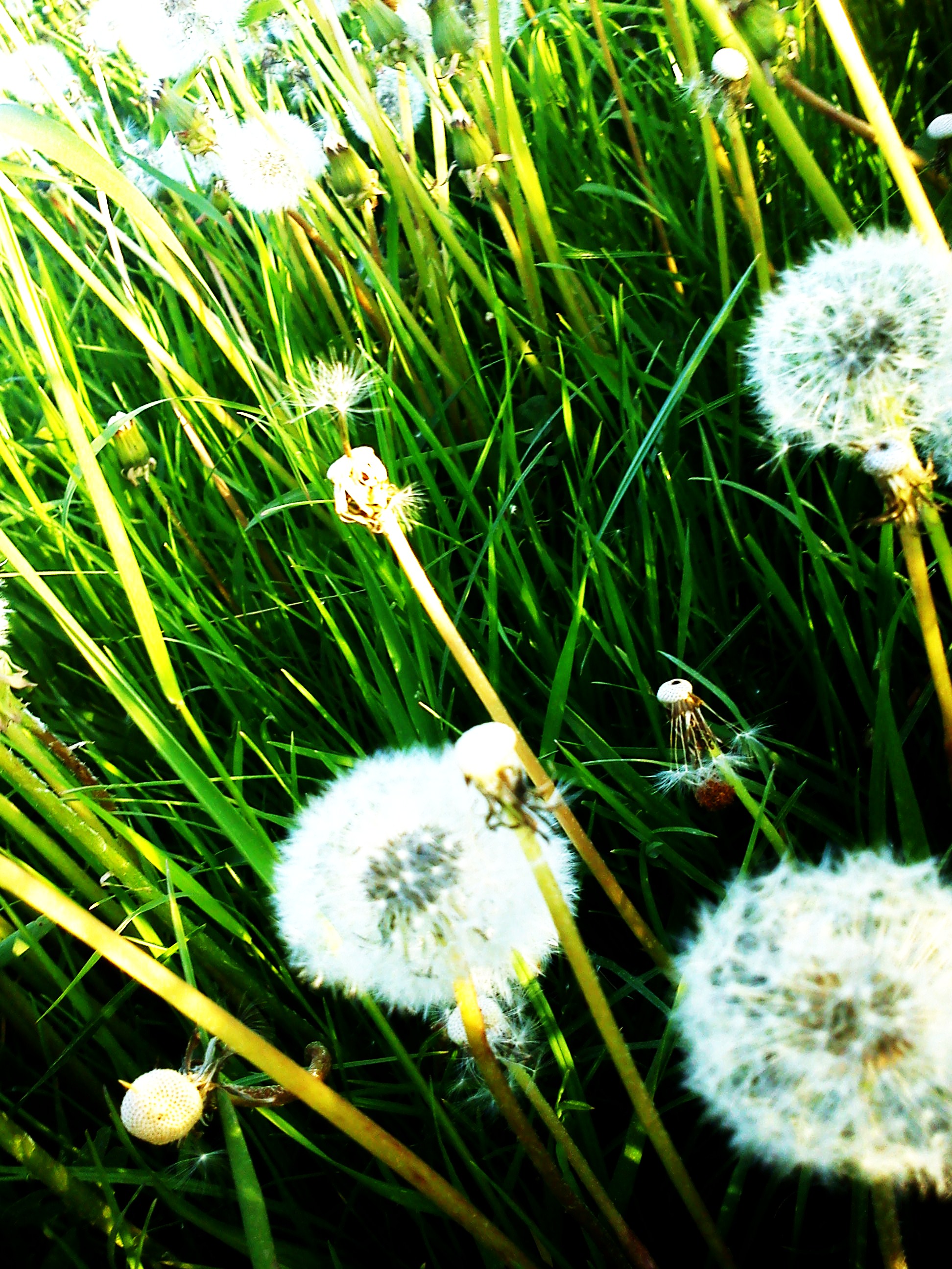 DSC00179